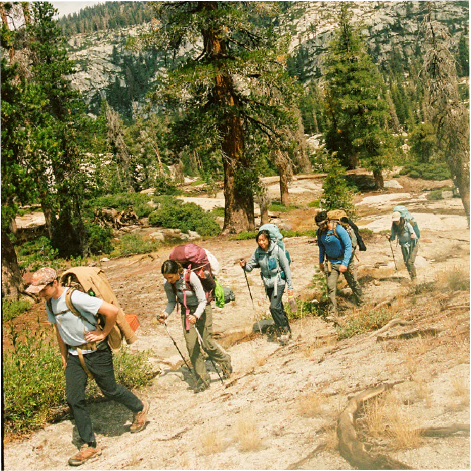 A decorative image from Usal Project