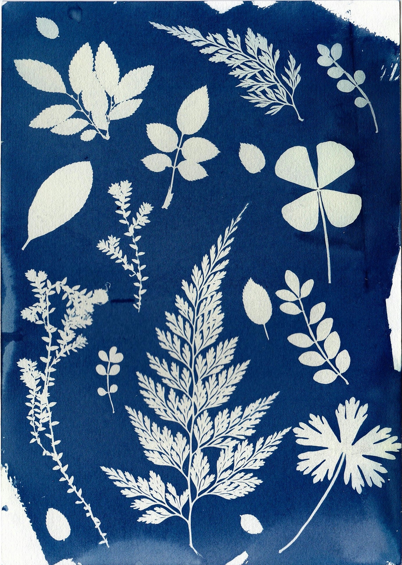 A decorative image from Usal Project