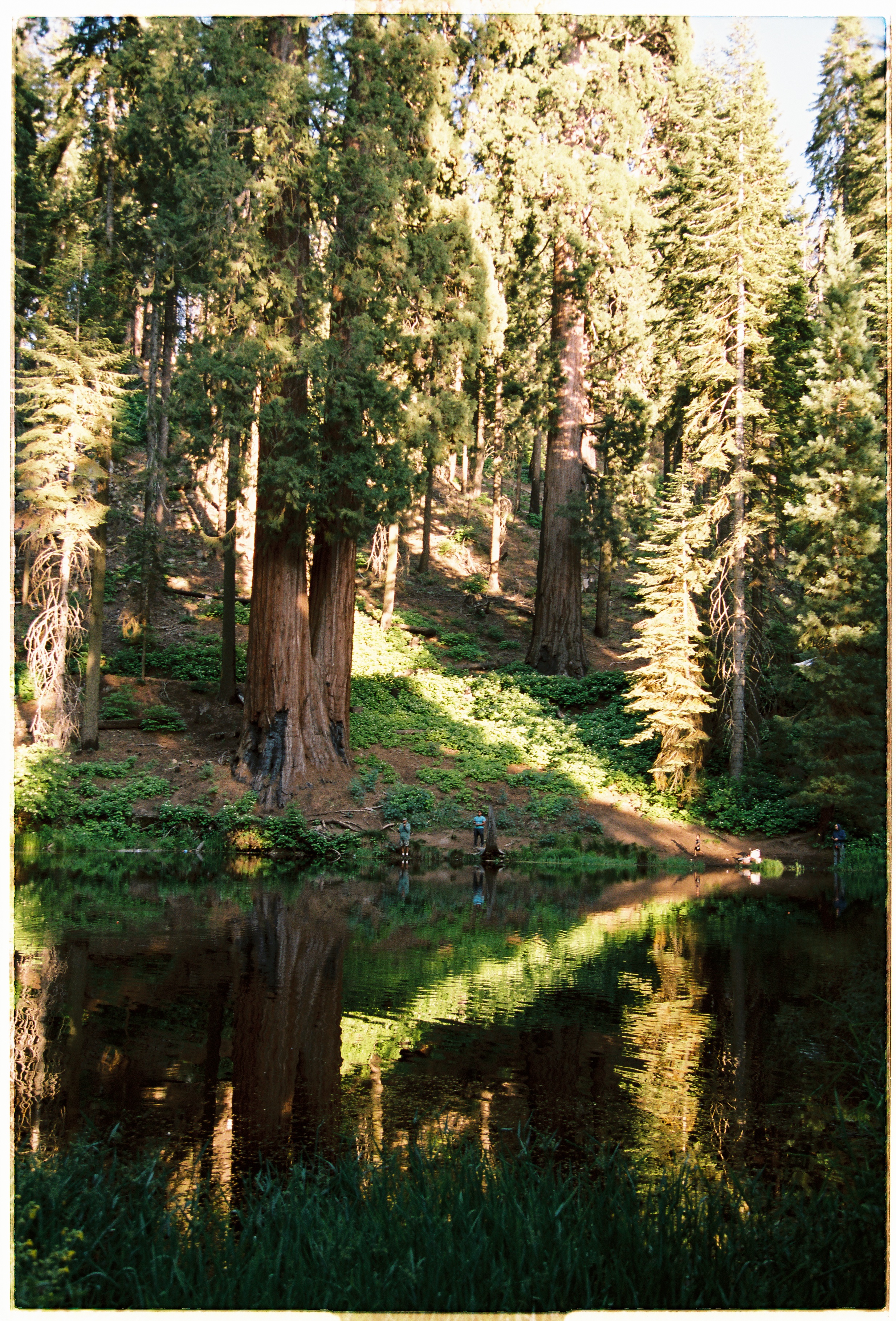 A decorative image from Usal Project