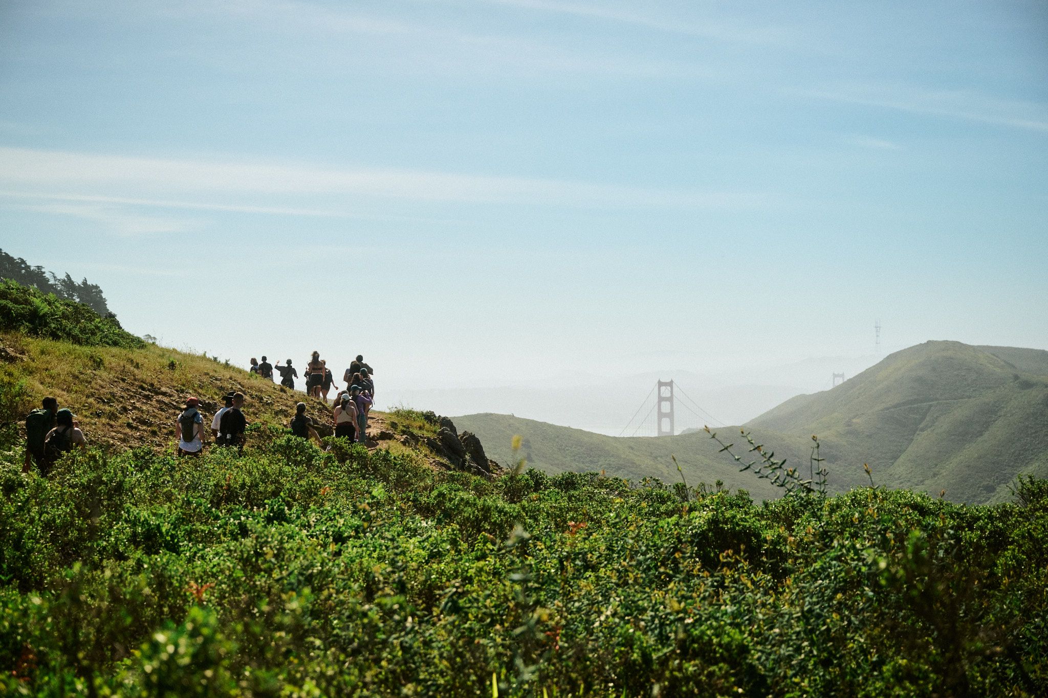 A decorative image from Usal Project