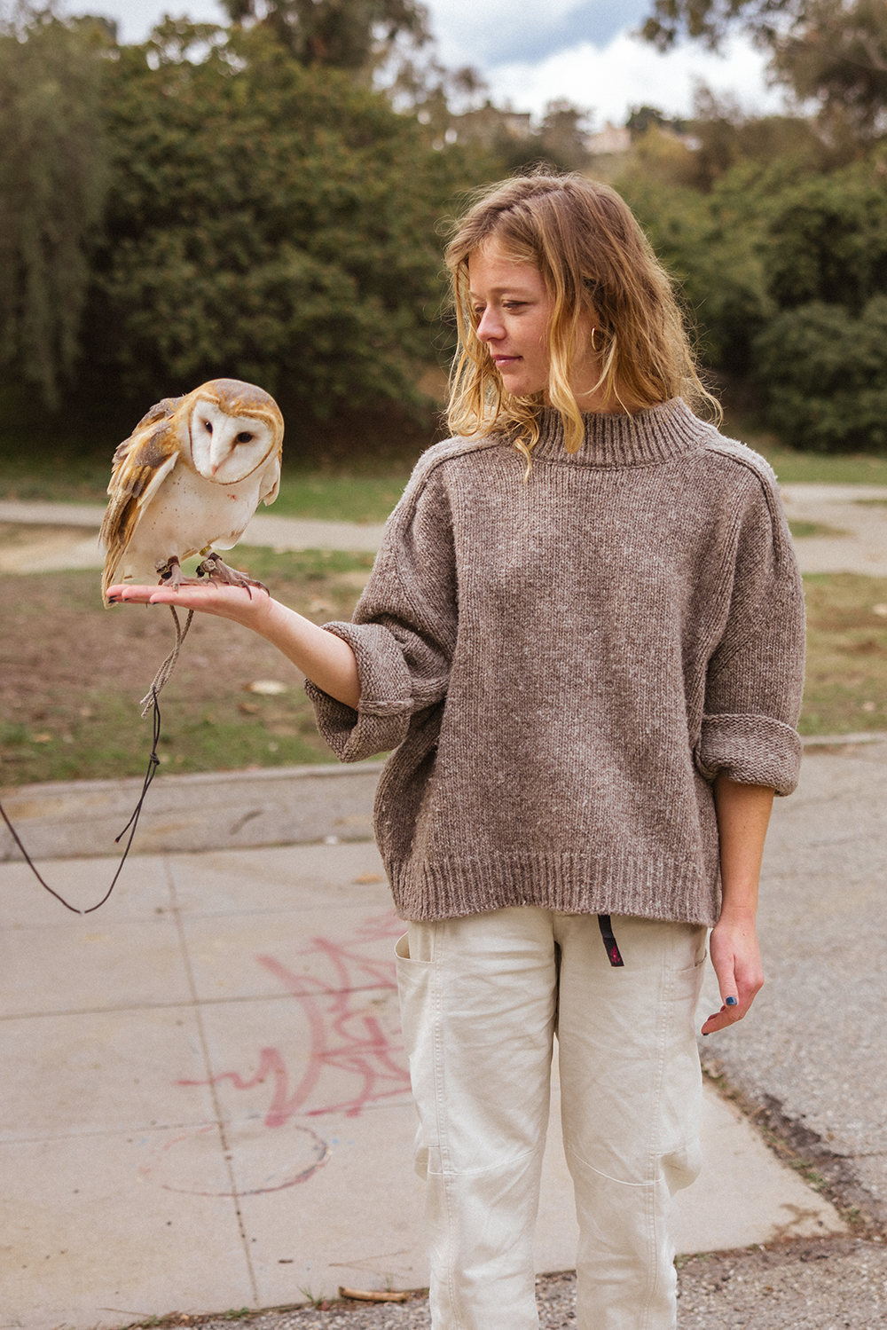 A decorative image from Usal Project