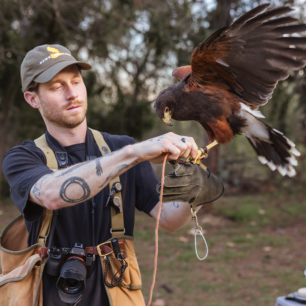 A decorative image from Usal Project