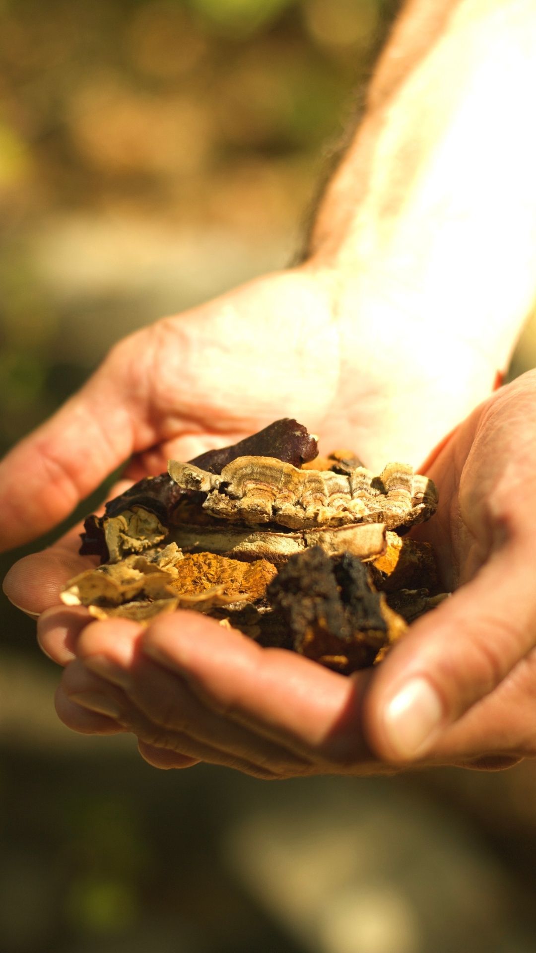 Hero Poster Mobile - A decorative image from Usal Project