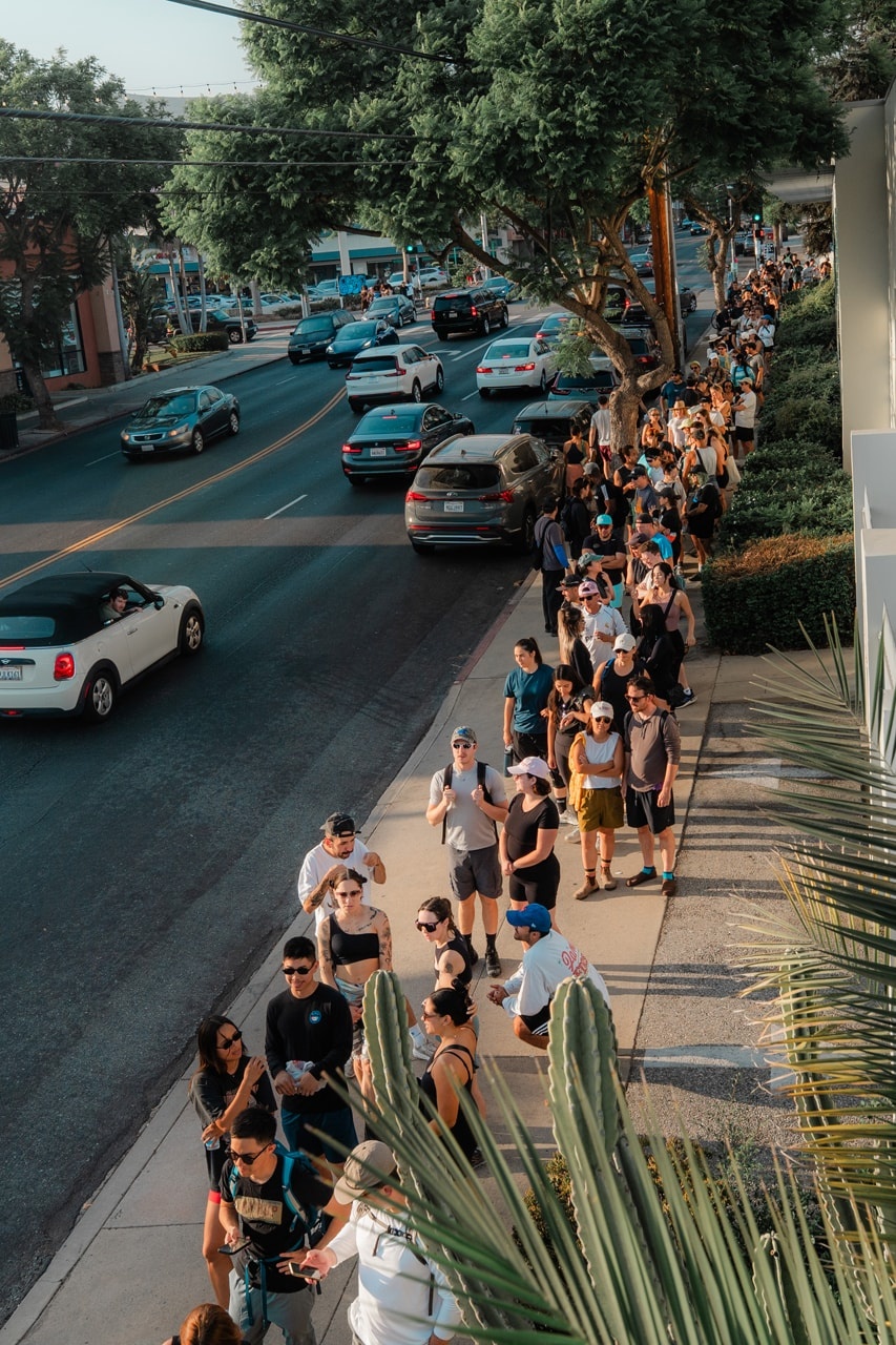 A decorative image from Usal Project