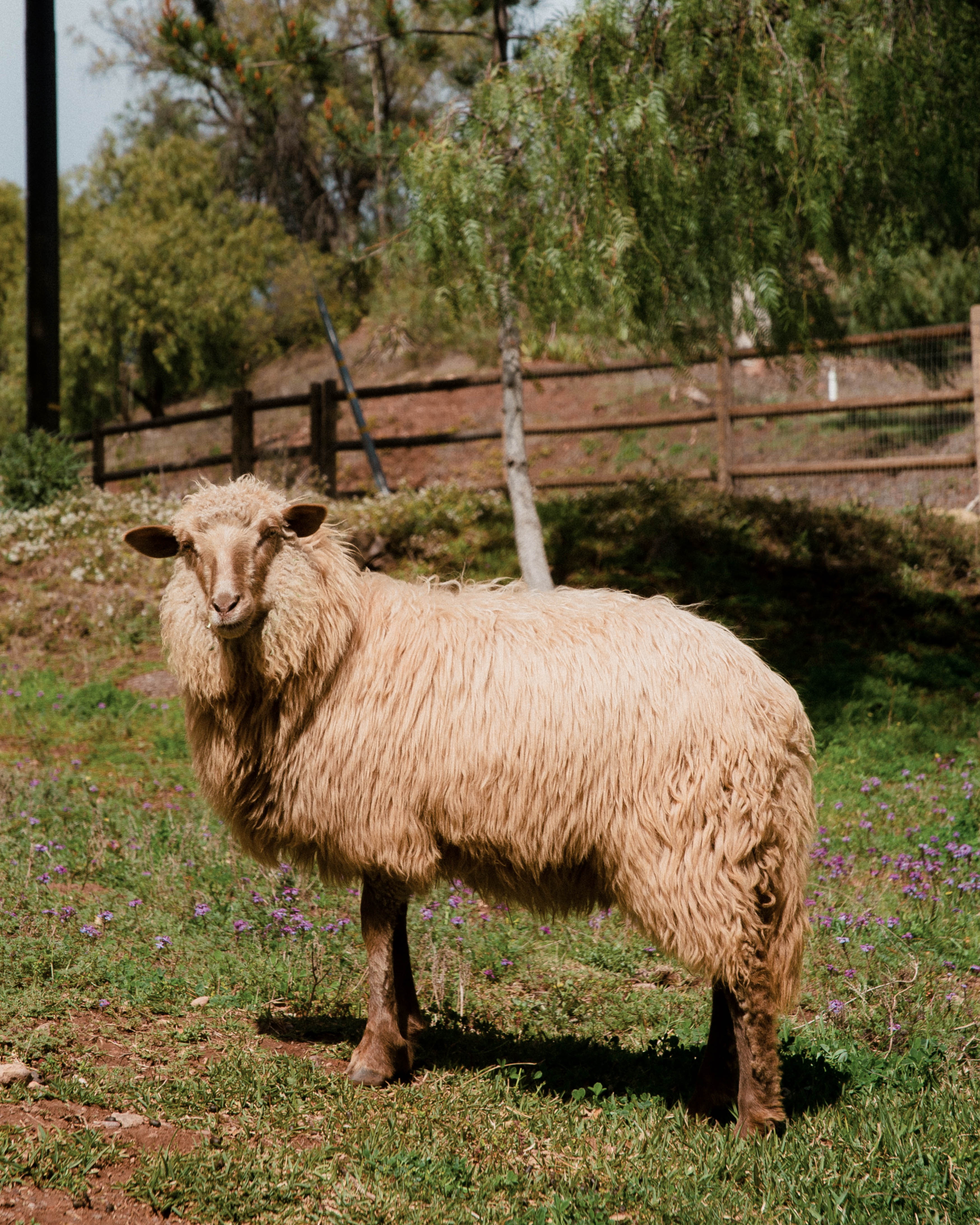 Hero Poster Mobile - A decorative image from Usal Project