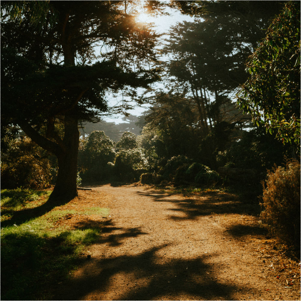 A decorative image from Usal Project