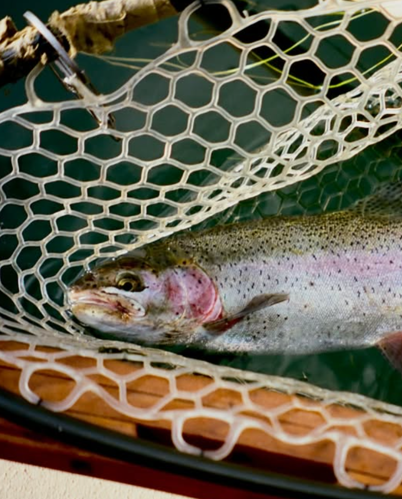 A decorative image from Usal Project