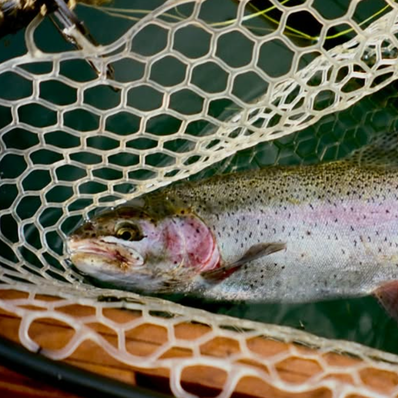 A decorative image from Usal Project