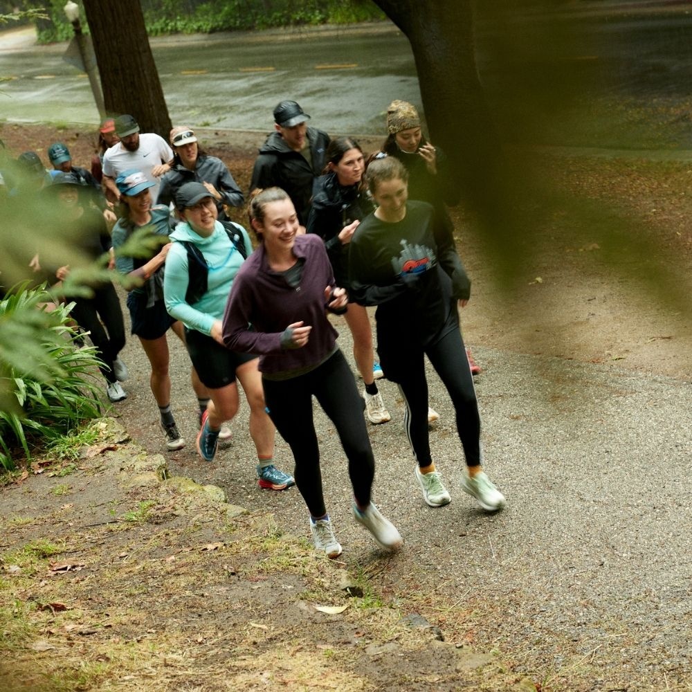 A decorative image from Usal Project