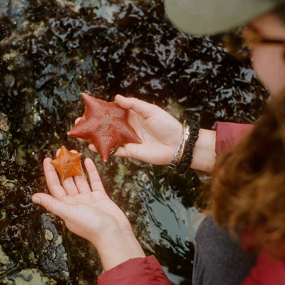 A decorative image from Usal Project