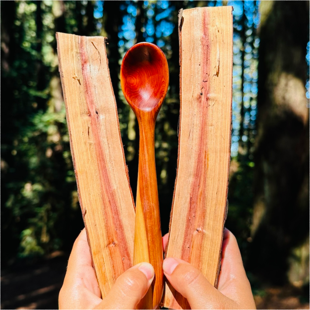 A decorative image from Usal Project