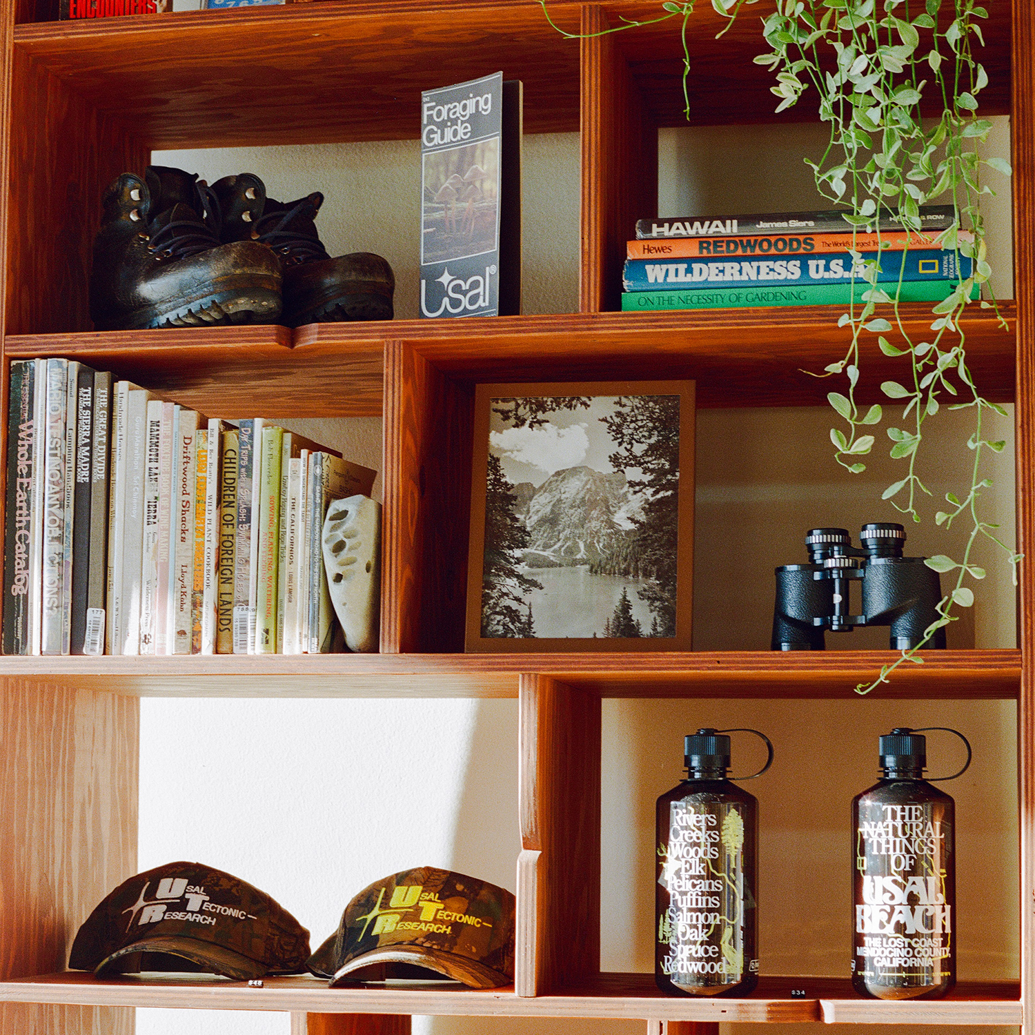 A decorative image from Usal Project