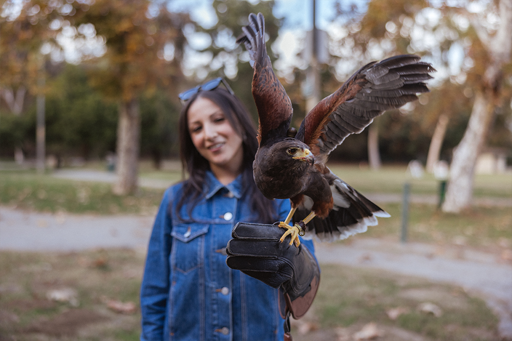 A decorative image from Usal Project