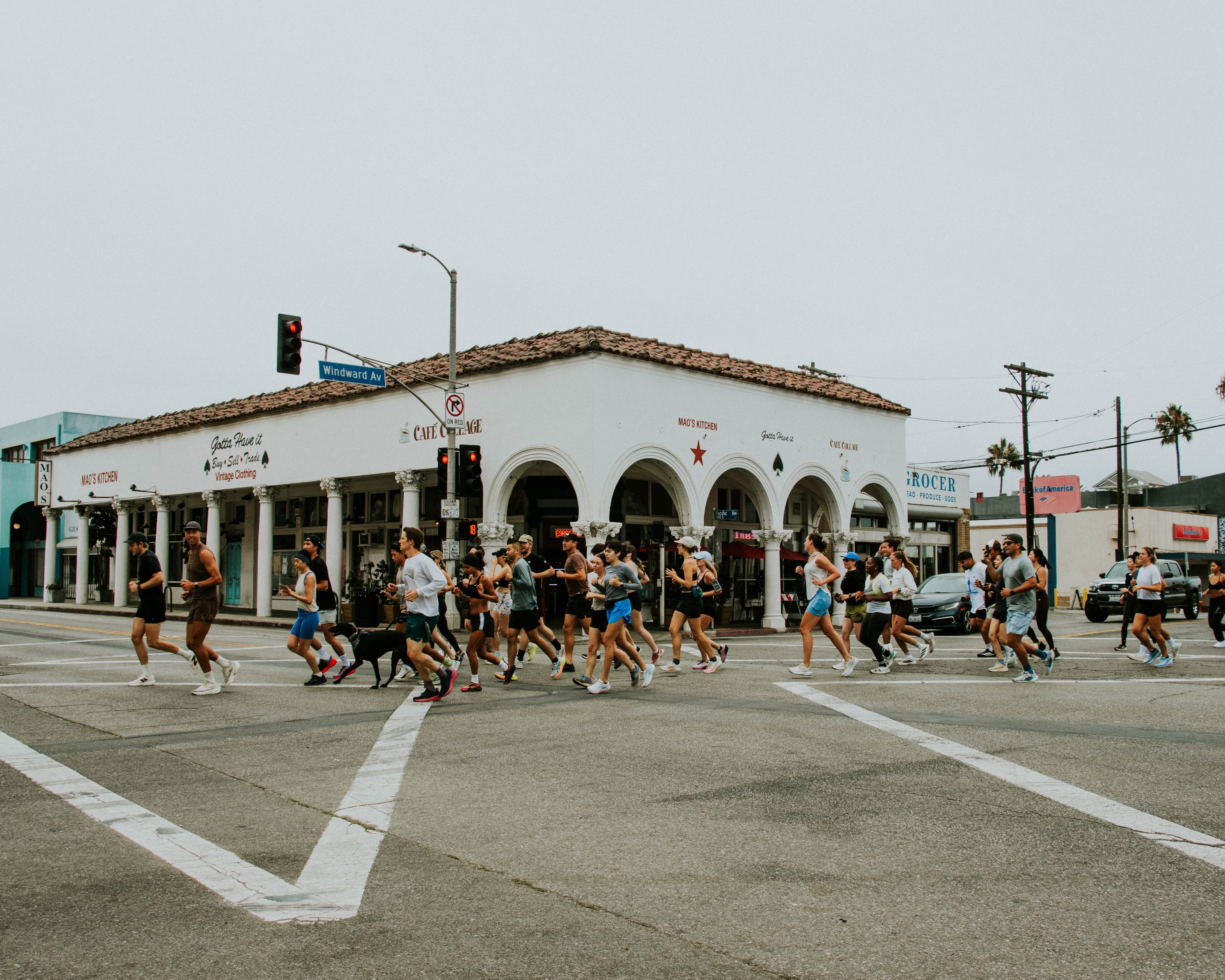 A decorative image from Usal Project