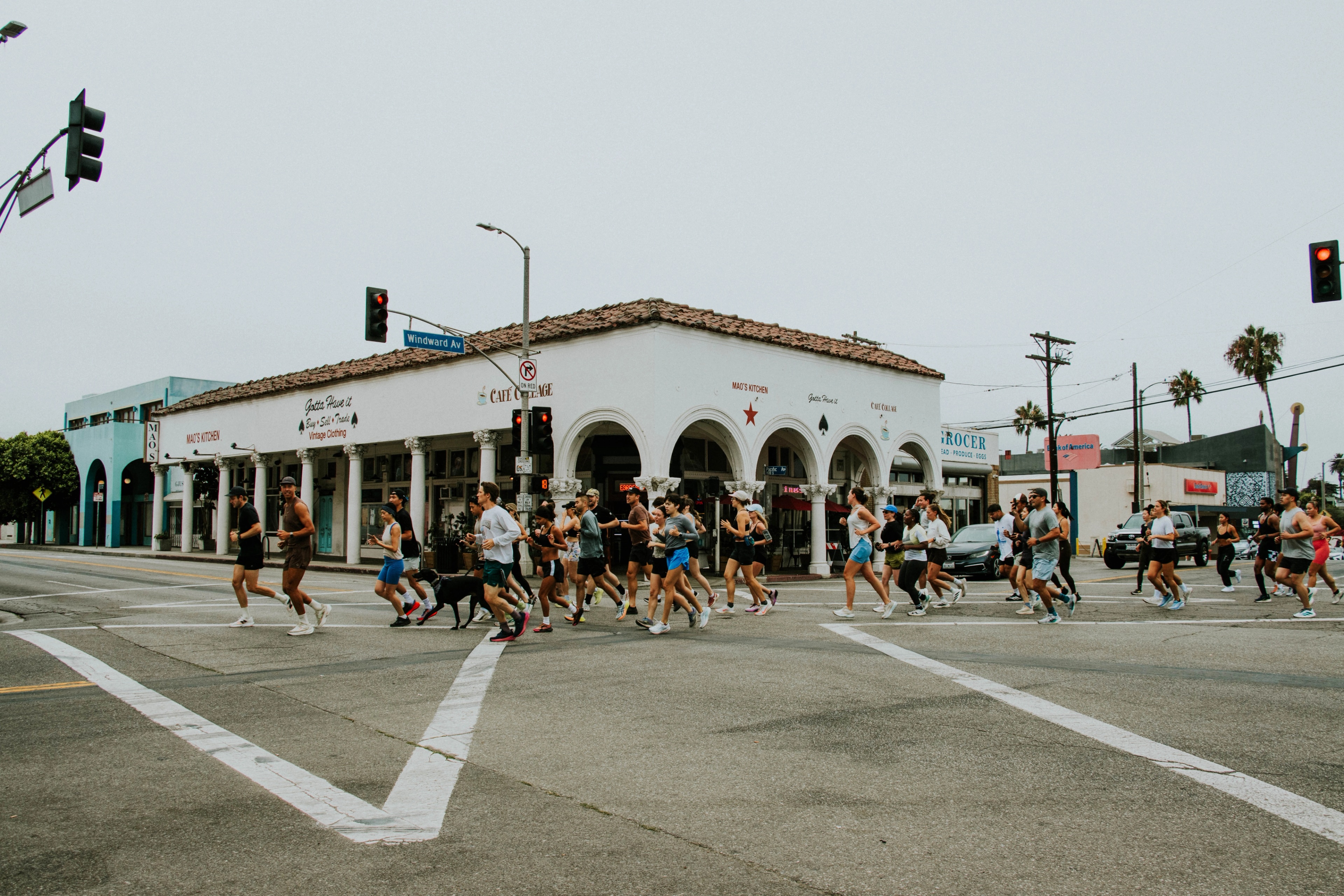 A decorative image from Usal Project