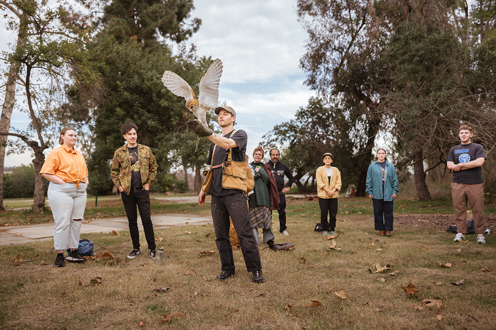 A decorative image from Usal Project