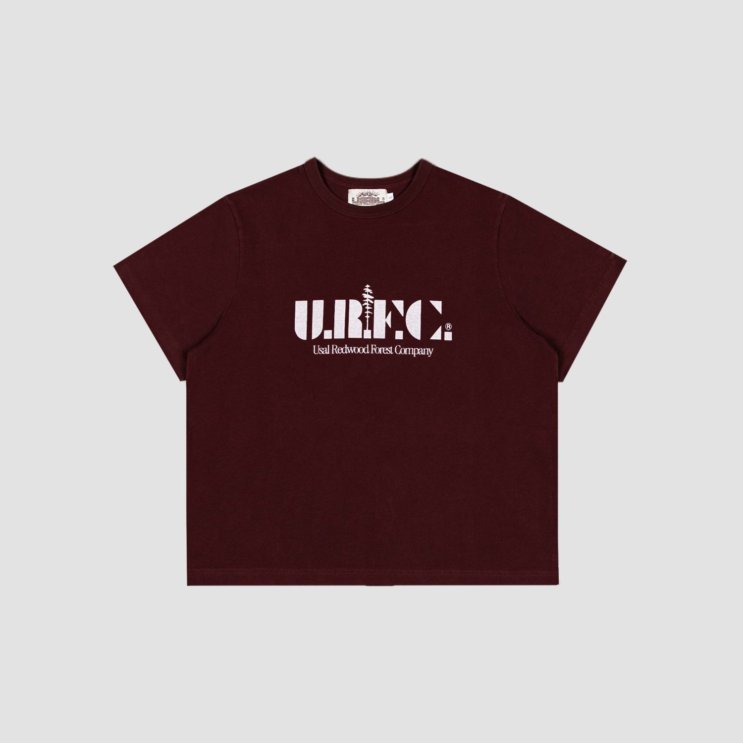 A decorative image from Usal Project