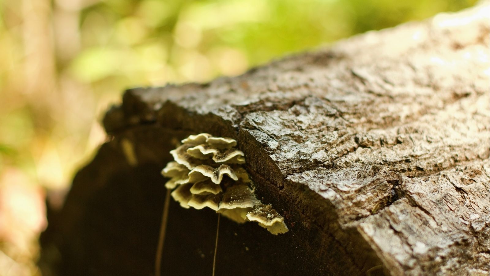 Hero Poster - A decorative image from Usal Project