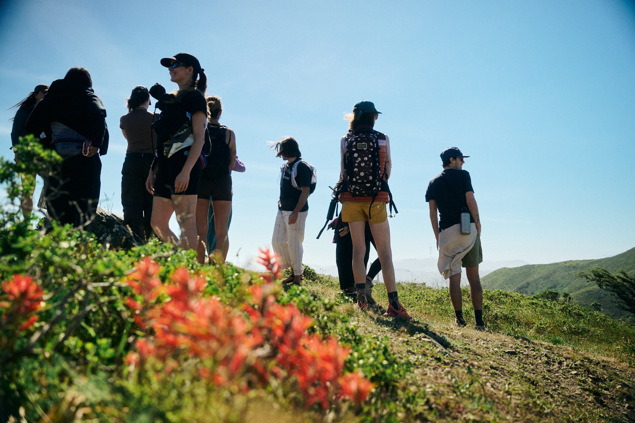 A decorative image from Usal Project