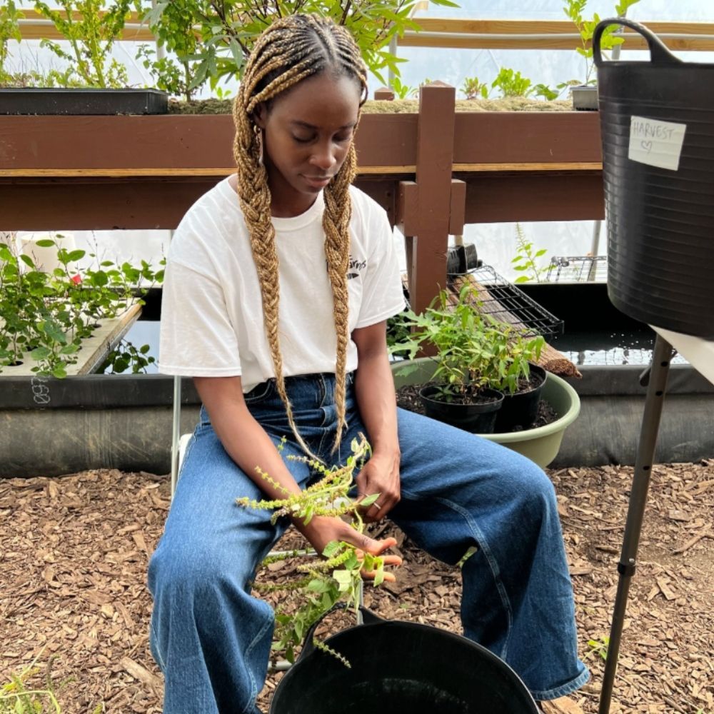 A decorative image from Usal Project