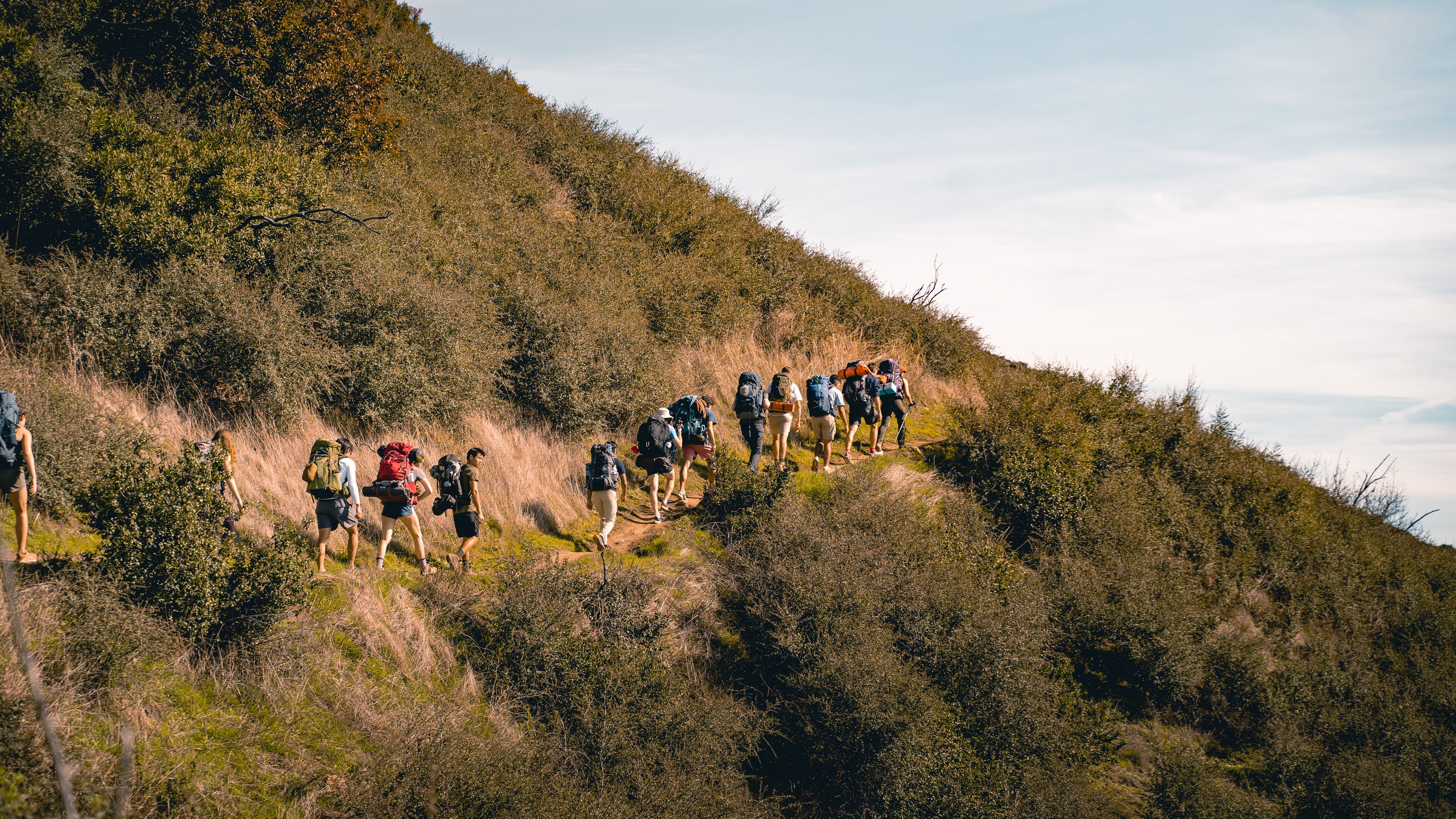 Hero Poster - A decorative image from Usal Project