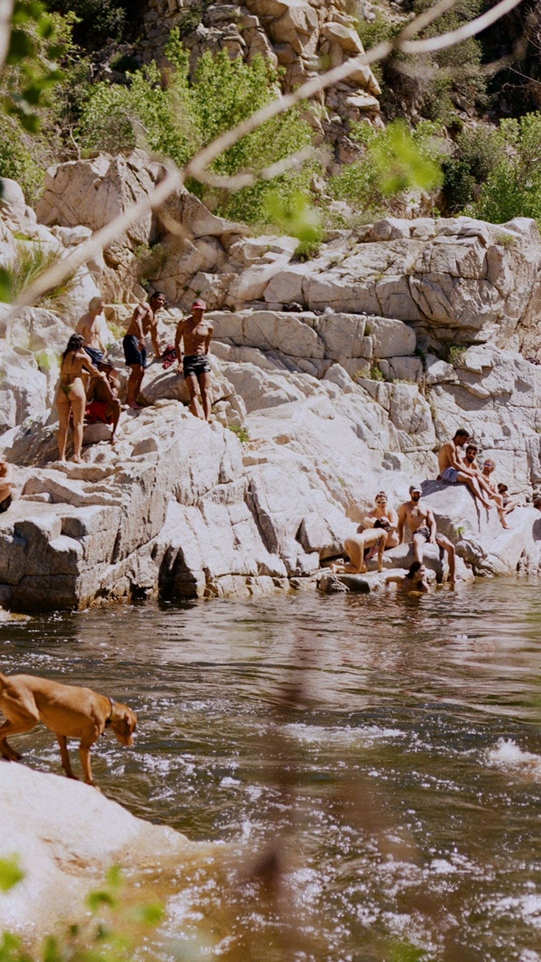 Hero Poster Mobile - A decorative image from Usal Project