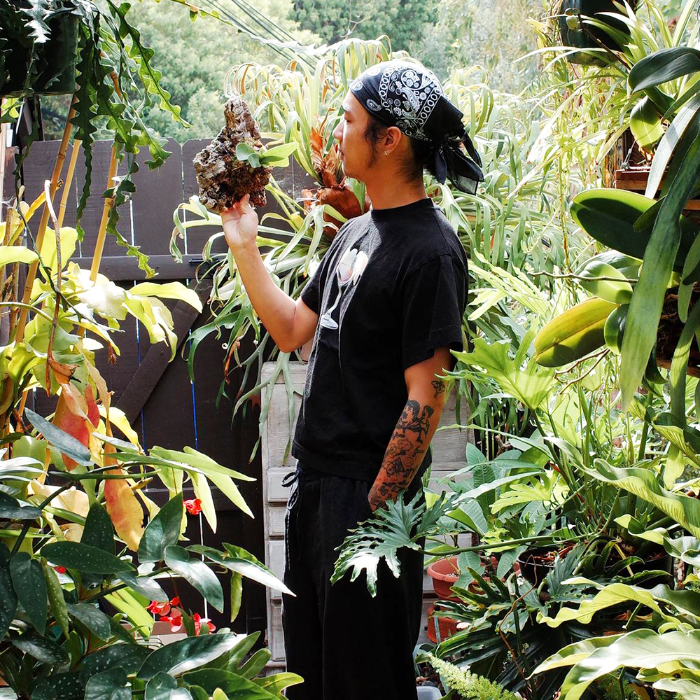 A decorative image from Usal Project