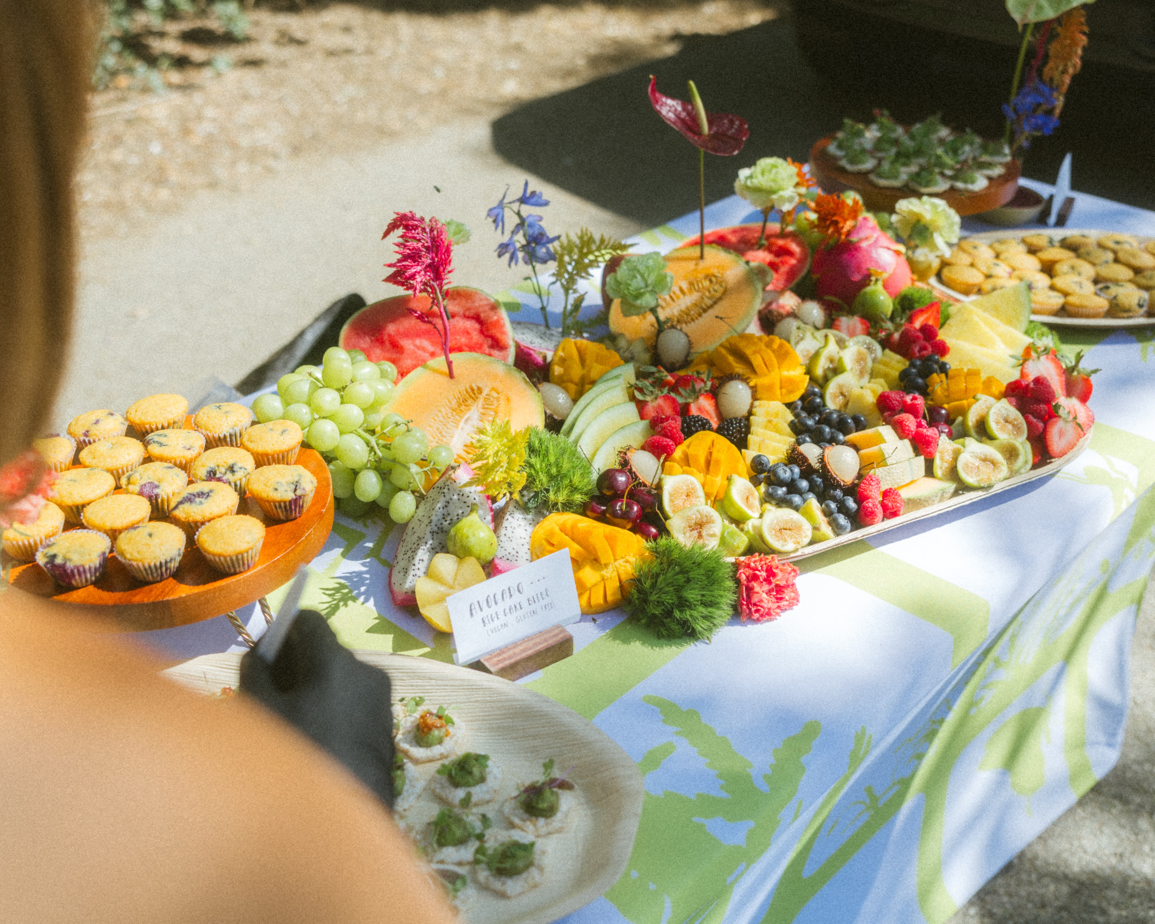 A decorative image from Usal Project