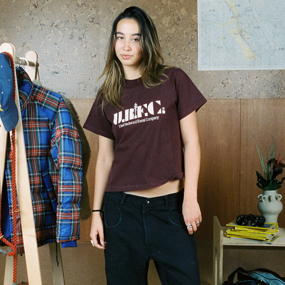 A decorative image from Usal Project