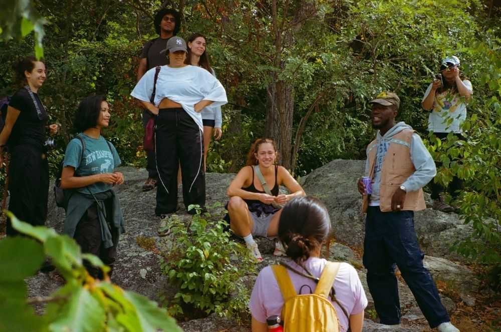 A decorative image from Usal Project