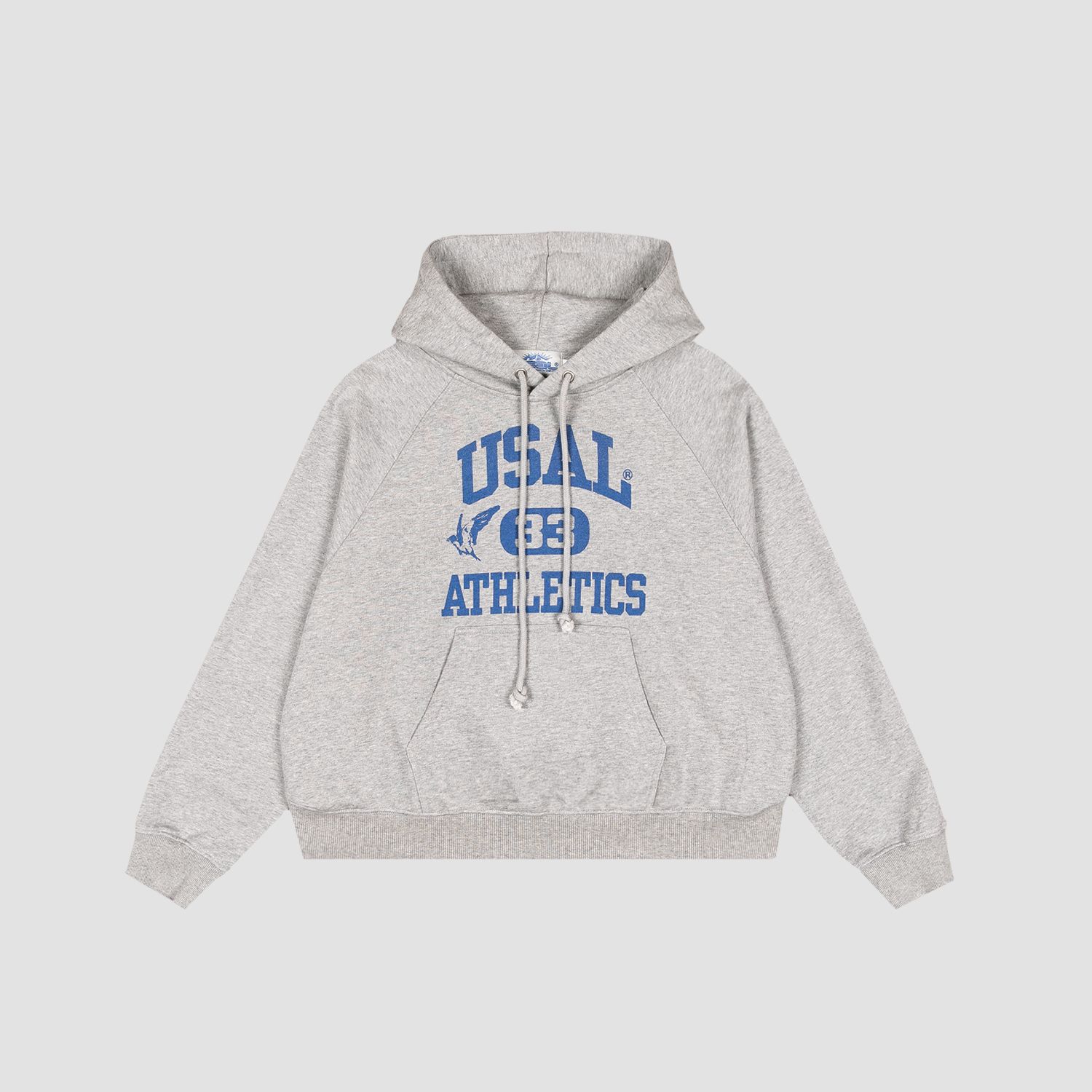 A decorative image from Usal Project