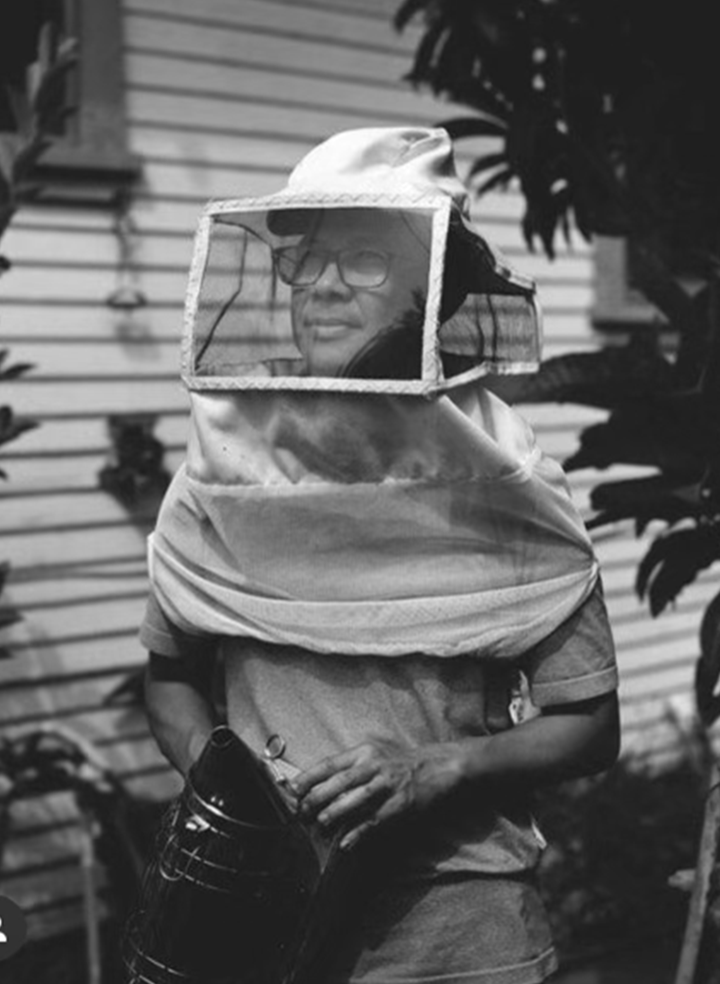 A decorative image from Usal Project