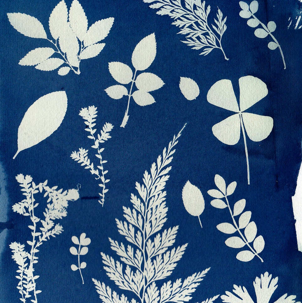 A decorative image from Usal Project