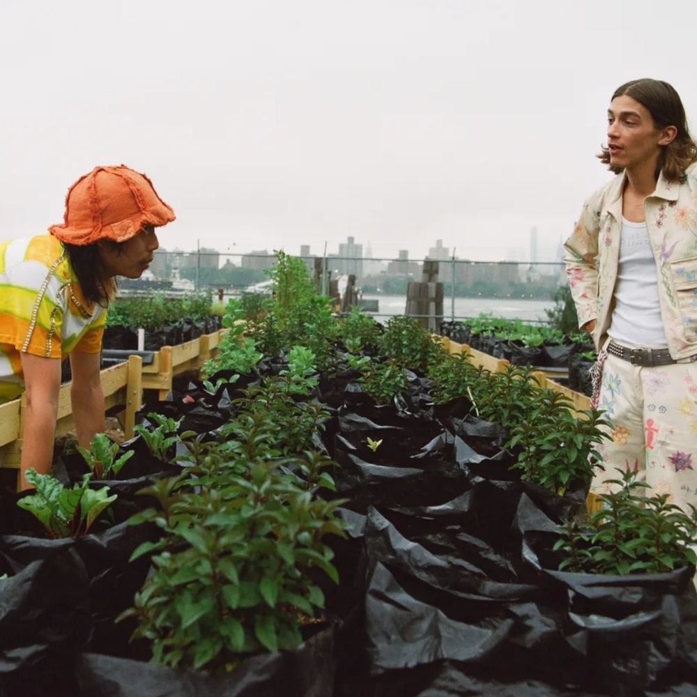 A decorative image from Usal Project