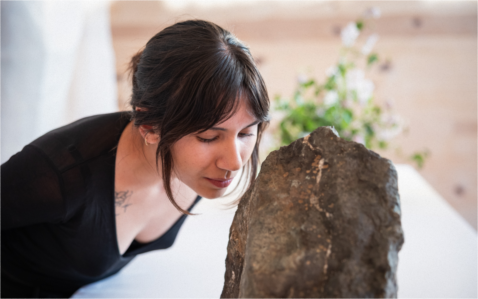 A decorative image from Usal Project