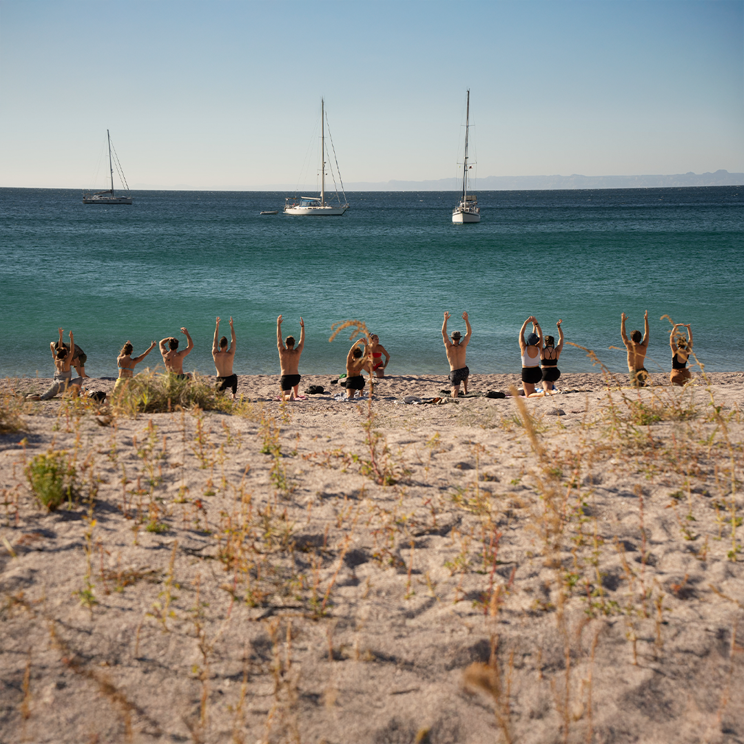 A decorative image from Usal Project