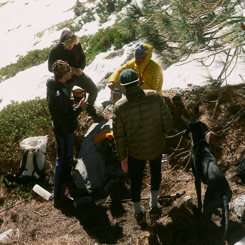 A decorative image from Usal Project