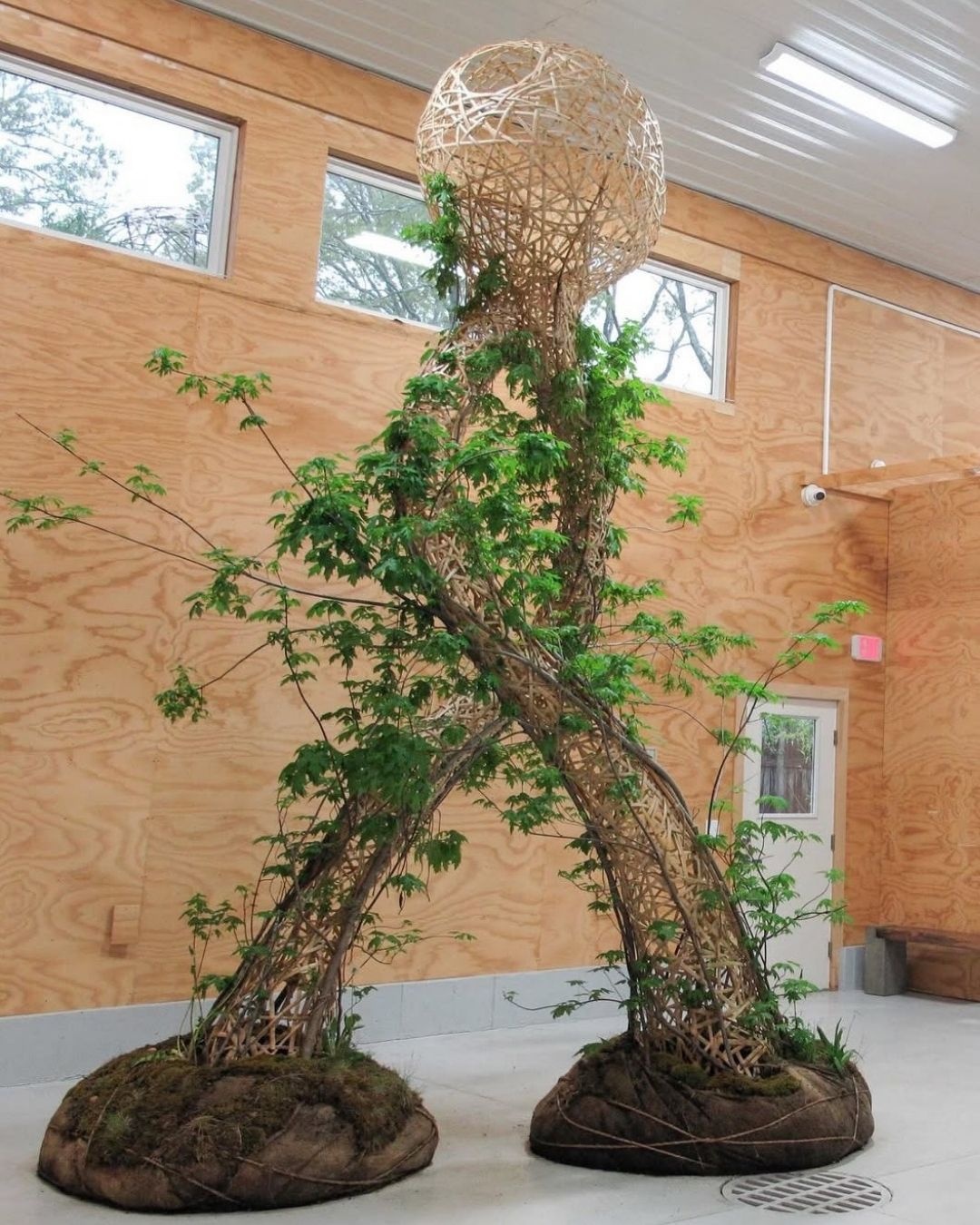 A decorative image from Usal Project