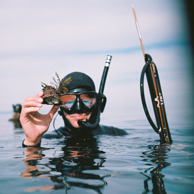 A decorative image from Usal Project