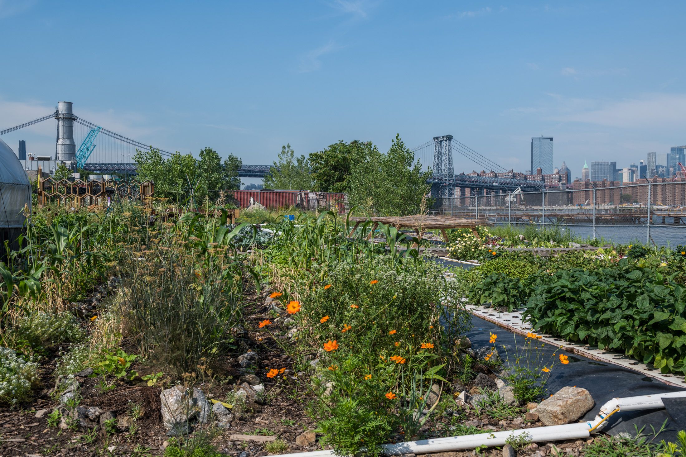 Hero Poster - A decorative image from Usal Project