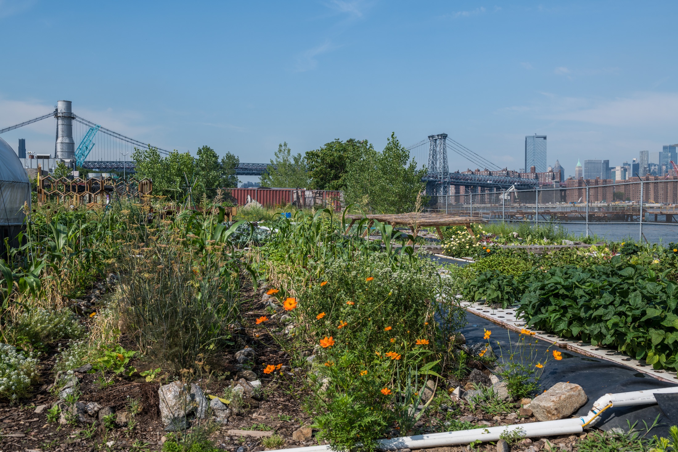 Hero Poster - A decorative image from Usal Project