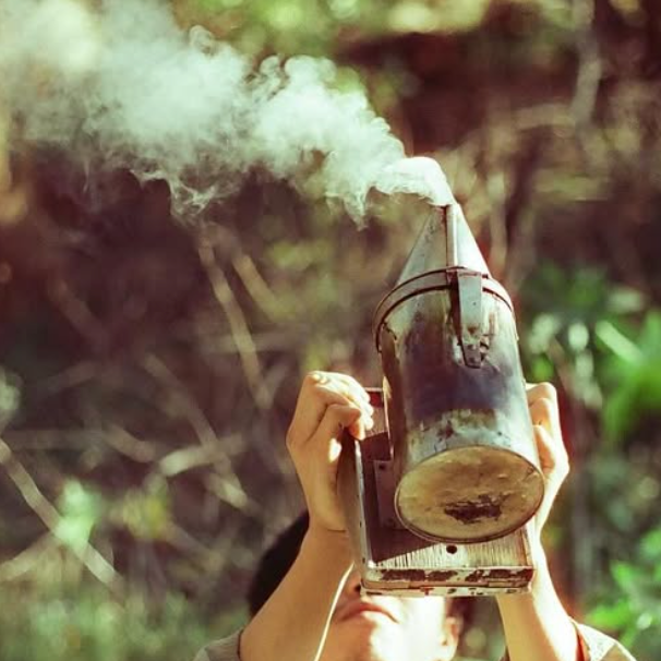 A decorative image from Usal Project