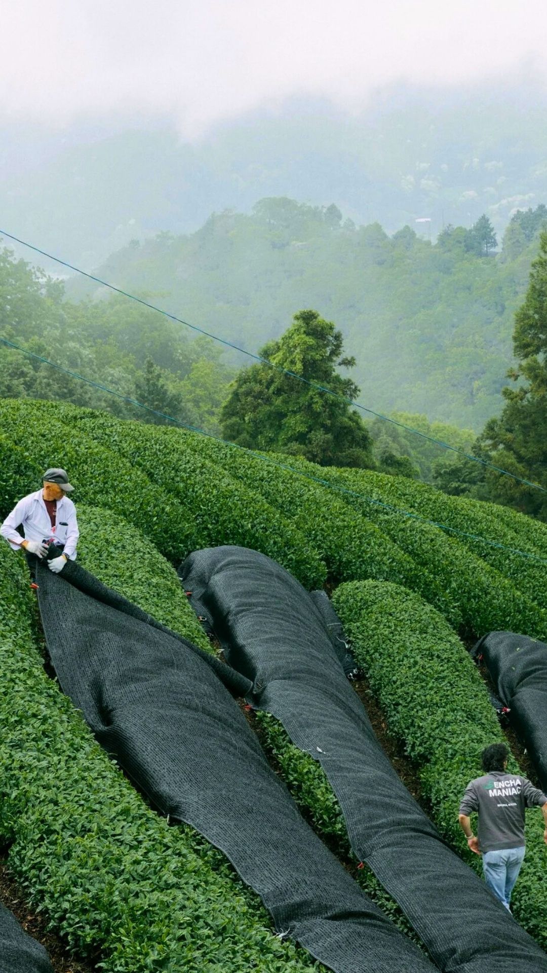 Hero Poster Mobile - A decorative image from Usal Project