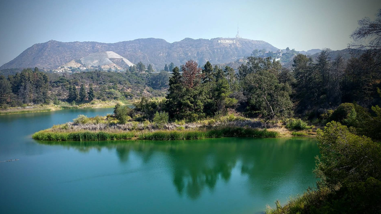 Hero Poster - A decorative image from Usal Project