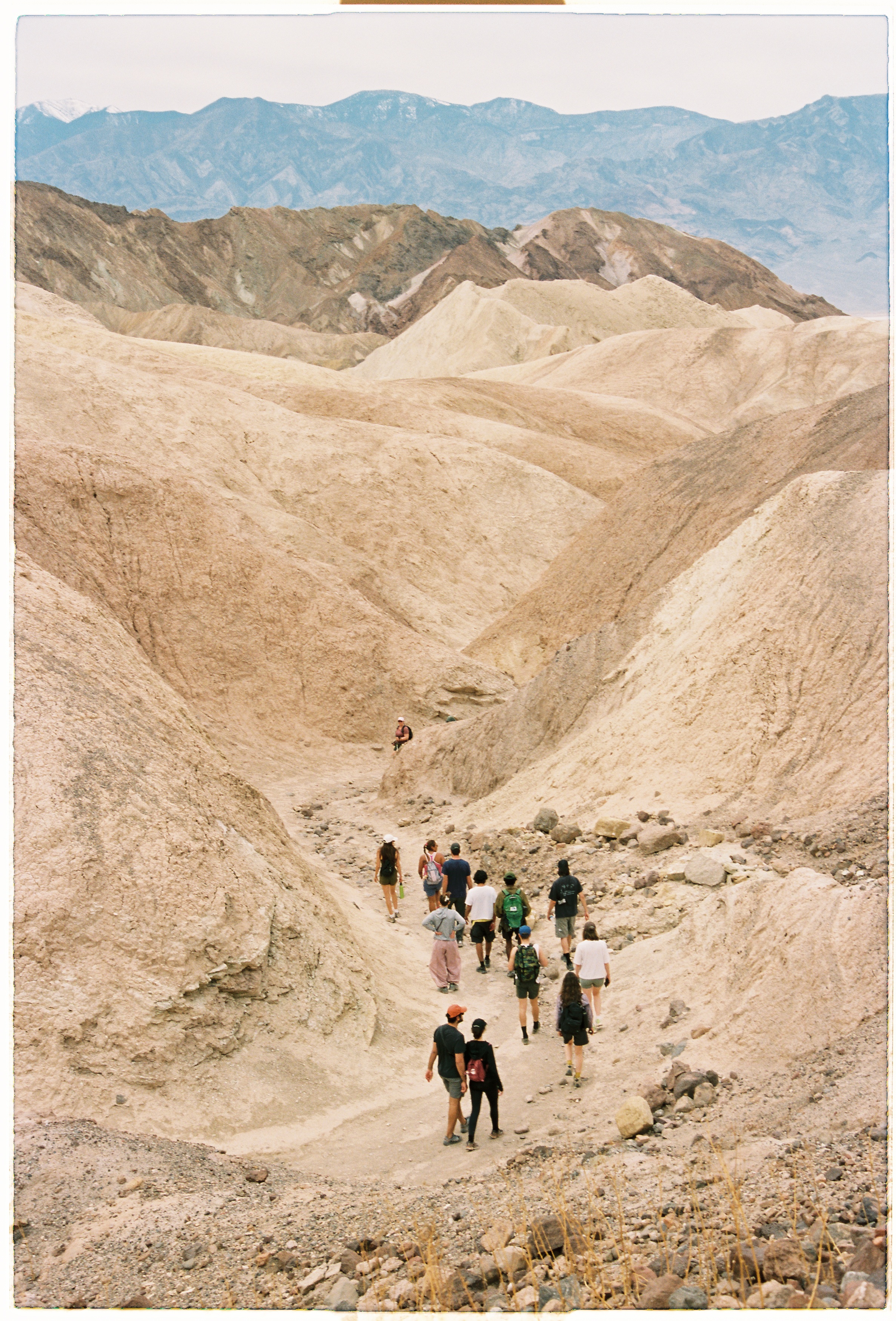 A decorative image from Usal Project