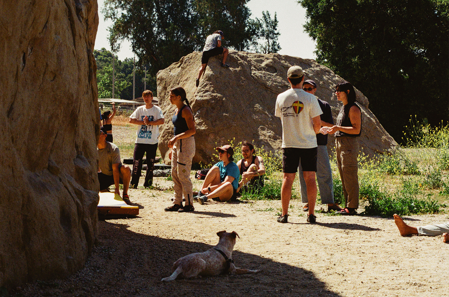 A decorative image from Usal Project