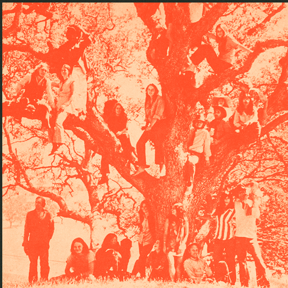 A decorative image from Usal Project
