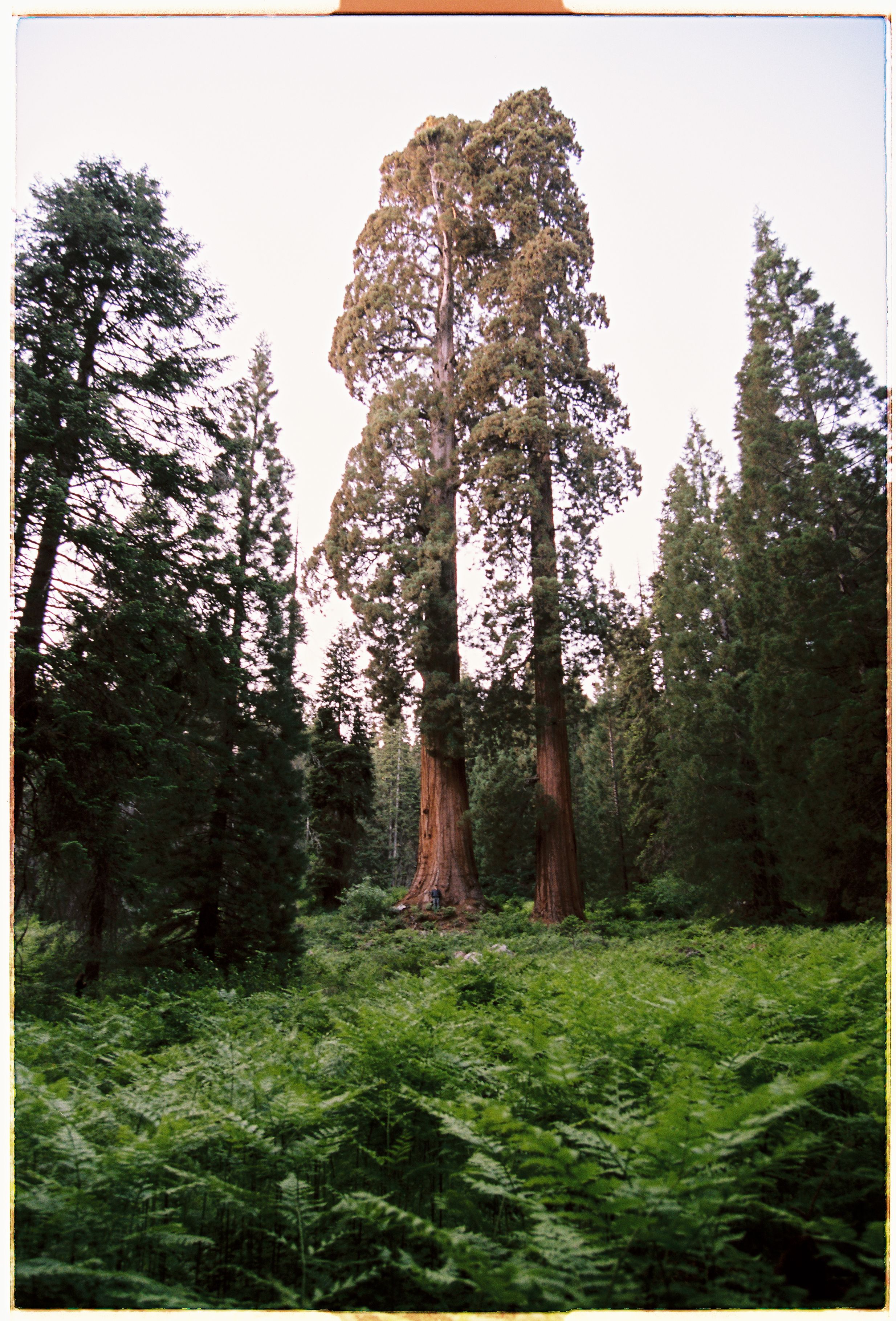 Hero Poster Mobile - A decorative image from Usal Project