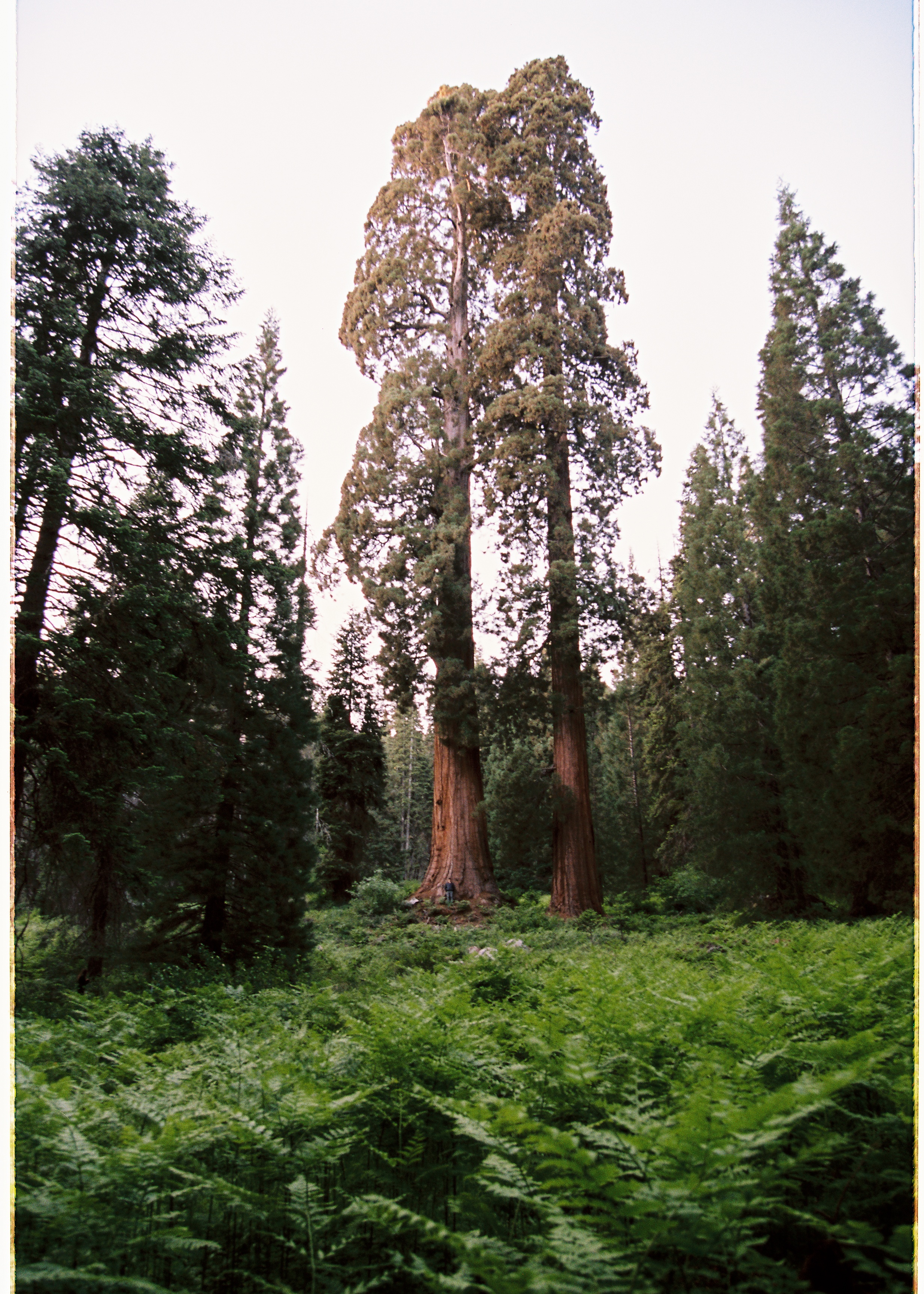 Hero Poster Mobile - A decorative image from Usal Project