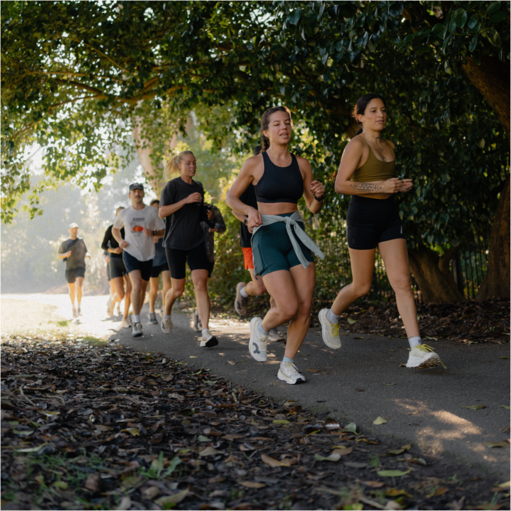 A decorative image from Usal Project